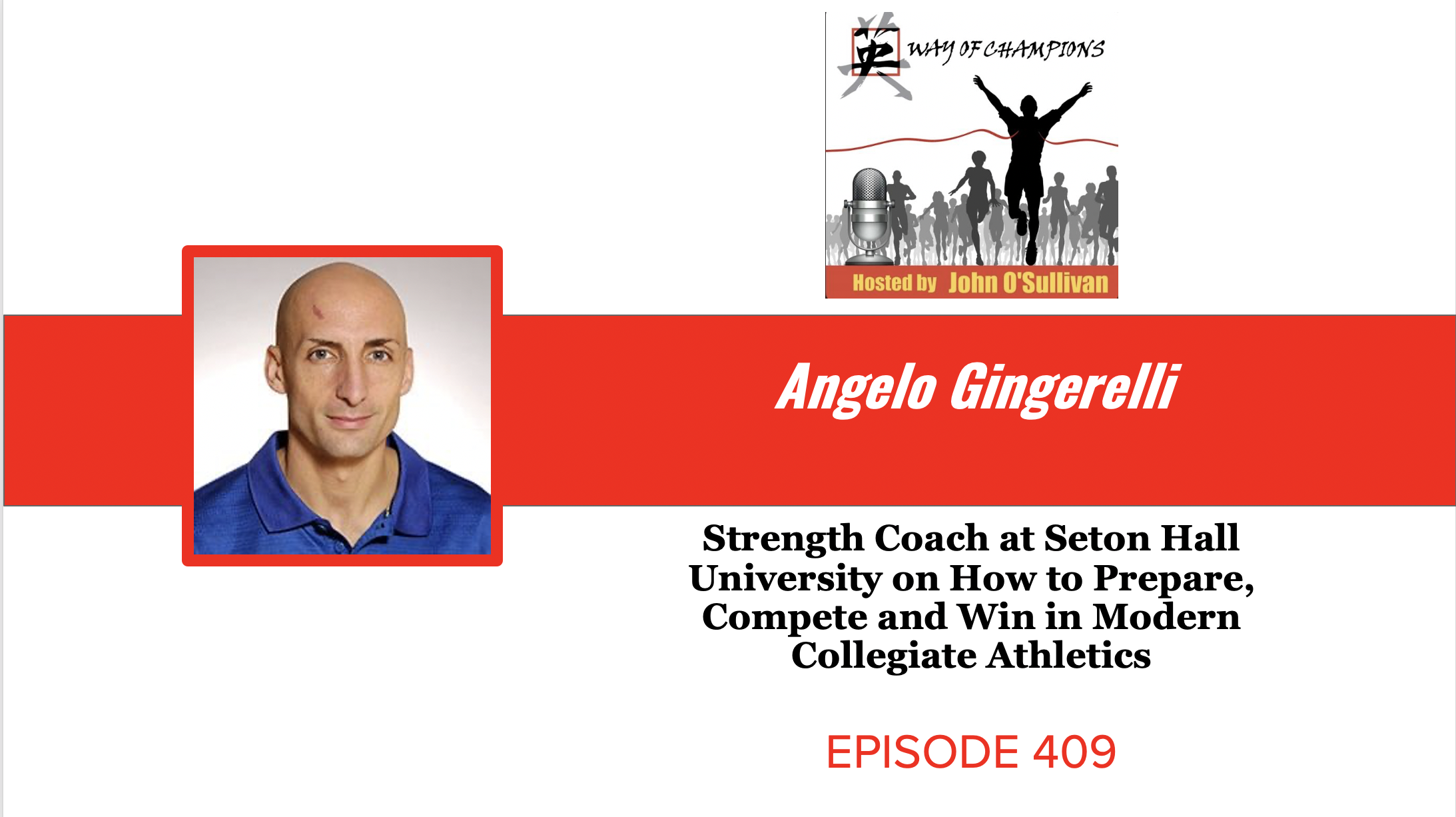 #409 Angelo Gingerelli