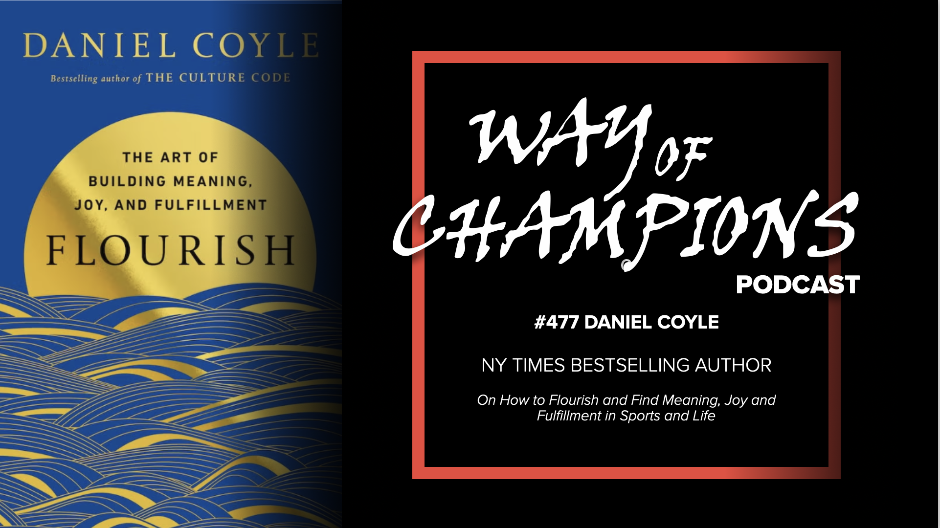 #477 Daniel Coyle